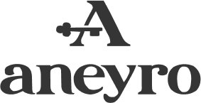 Aneyro logo